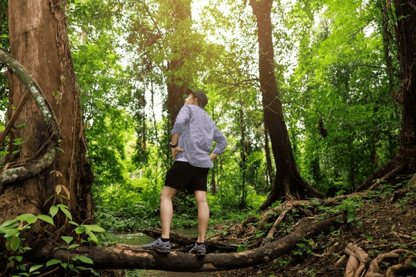 bains-de-nature-et-immersion-en-foret-guide-complet-et-nouveautes-2025