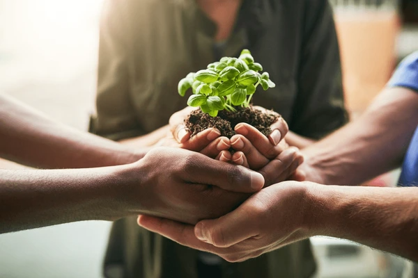 soins-ecoresponsables-2025-strategies-et-innovations-pour-une-beaute-durable