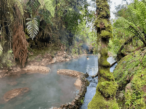 thermalisme-reouverture-des-thermes-de-lectoure-et-luchon-en-2025
