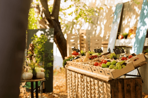 manger-local-et-de-saison-la-cle-dune-alimentation-durable-en-2025