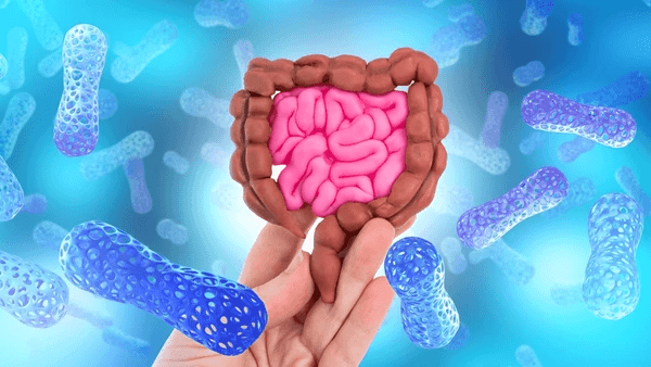 microbiote-2025-la-cle-de-limmortalite-dans-nos-intestins-santeactu